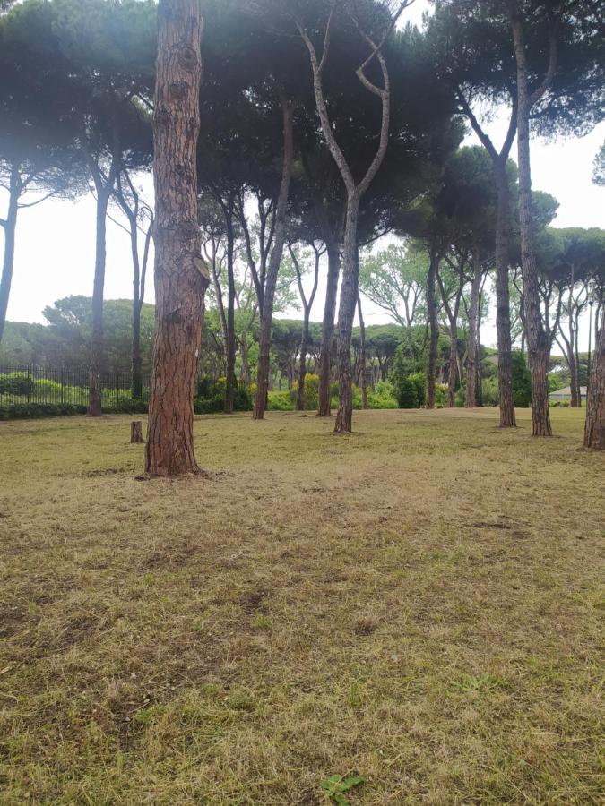 Attico Con Terrazza In Via Dei Traghetti Apartment Lido di Ostia Luaran gambar